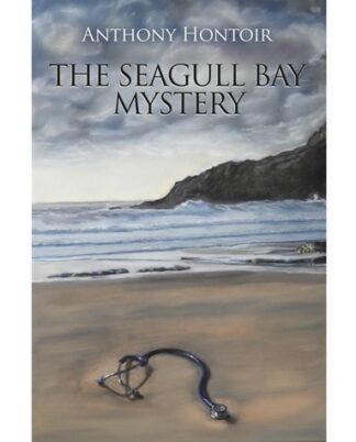 The Seagull Bay Mystery